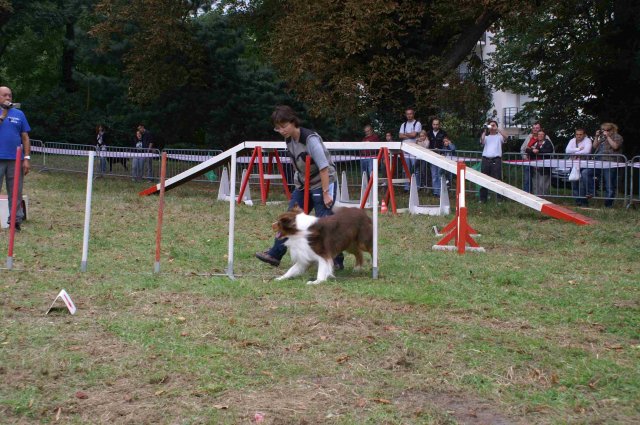 foire-haricots 2011-09-17et18